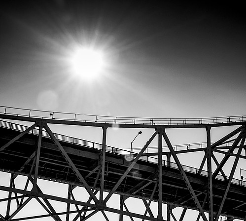 Rob_Doda_Photo080403_RLD4263