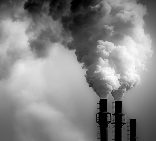 Rob_Doda_Photo080403_RLD4251-3