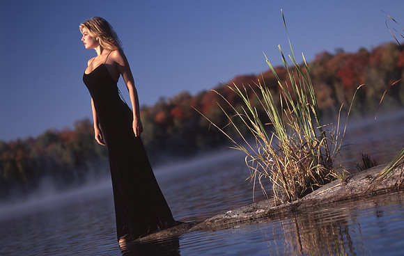 T5639x3580-17662