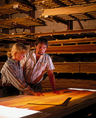 Veneer Inspection