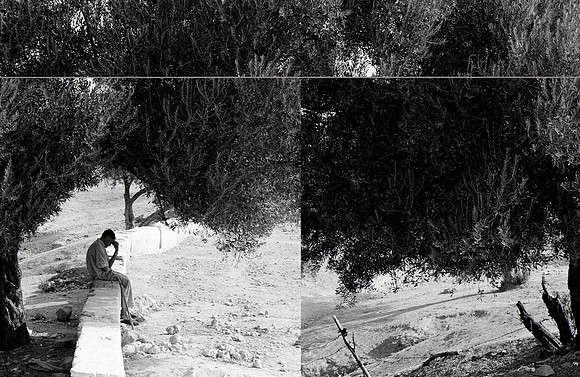 DigitallyEmulsified-49